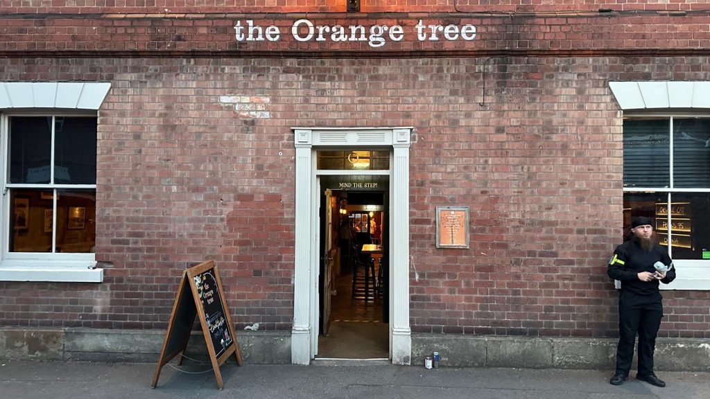 orange tree outside