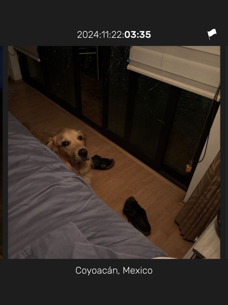 minutiae