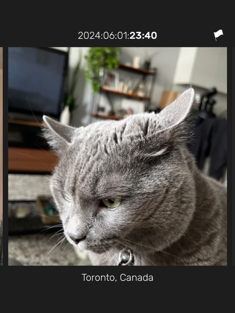 minutiae