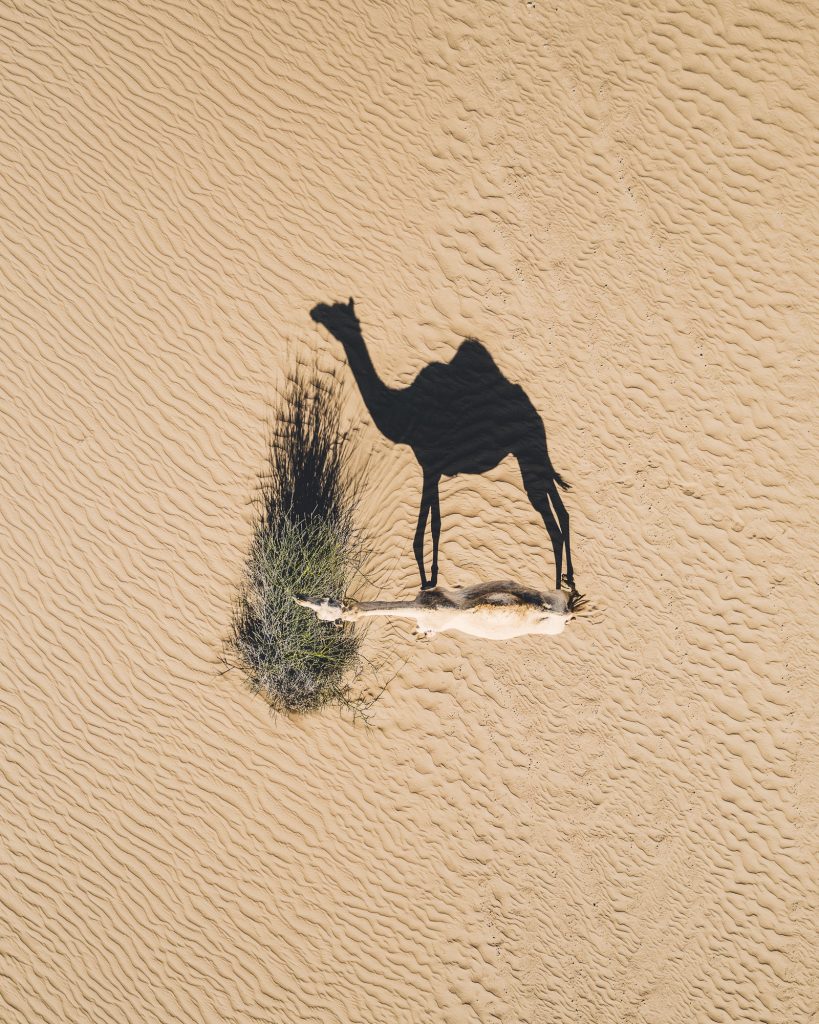 Abstract Aerial Art