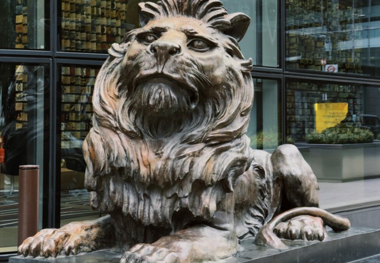 monfor lion